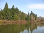 Arboretum Křtiny